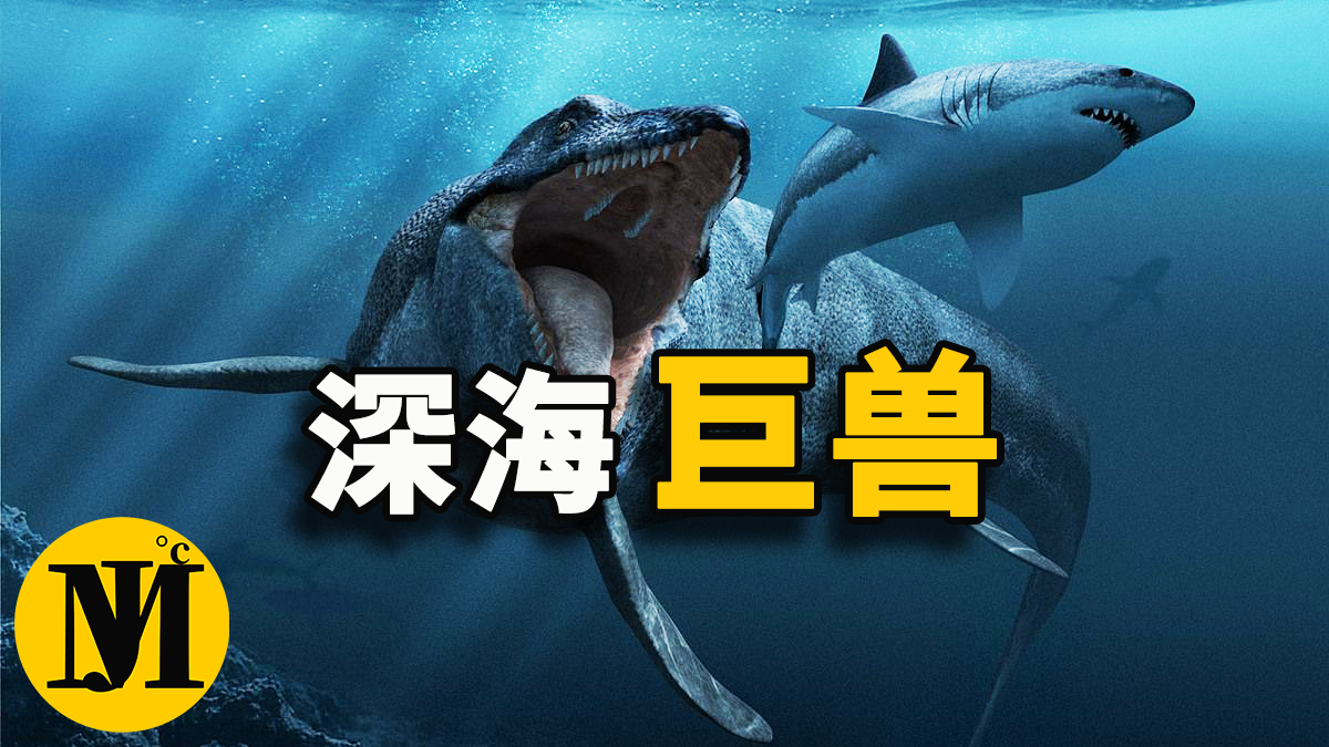 一口吞掉大白鯊的怪物，海底是否真的還存在史前巨獸 | 零度解密-零度博客