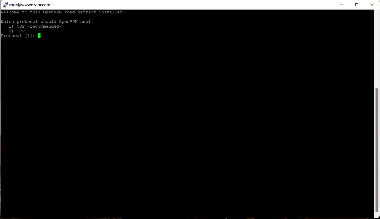 图片[2]-Linux下载安装OpenVPN 服务端 （一键安装命令）-零度博客
