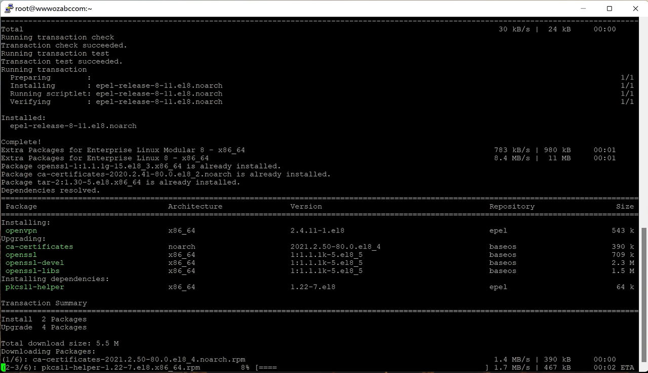 图片[4]-Linux下载安装OpenVPN 服务端 （一键安装命令）-零度博客