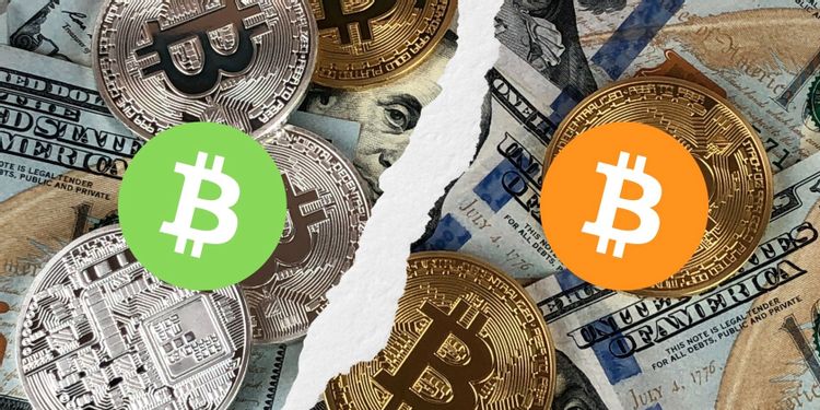 图片[1]-比特币与比特币现金：有什么区别？-零度博客