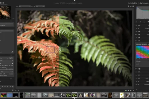 screenshot darkroom1 2