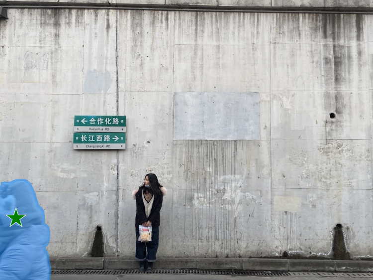 图片[4]-Inpaint Anything  修复图像、视频和3D 场景中的任何内容！开源-零度博客