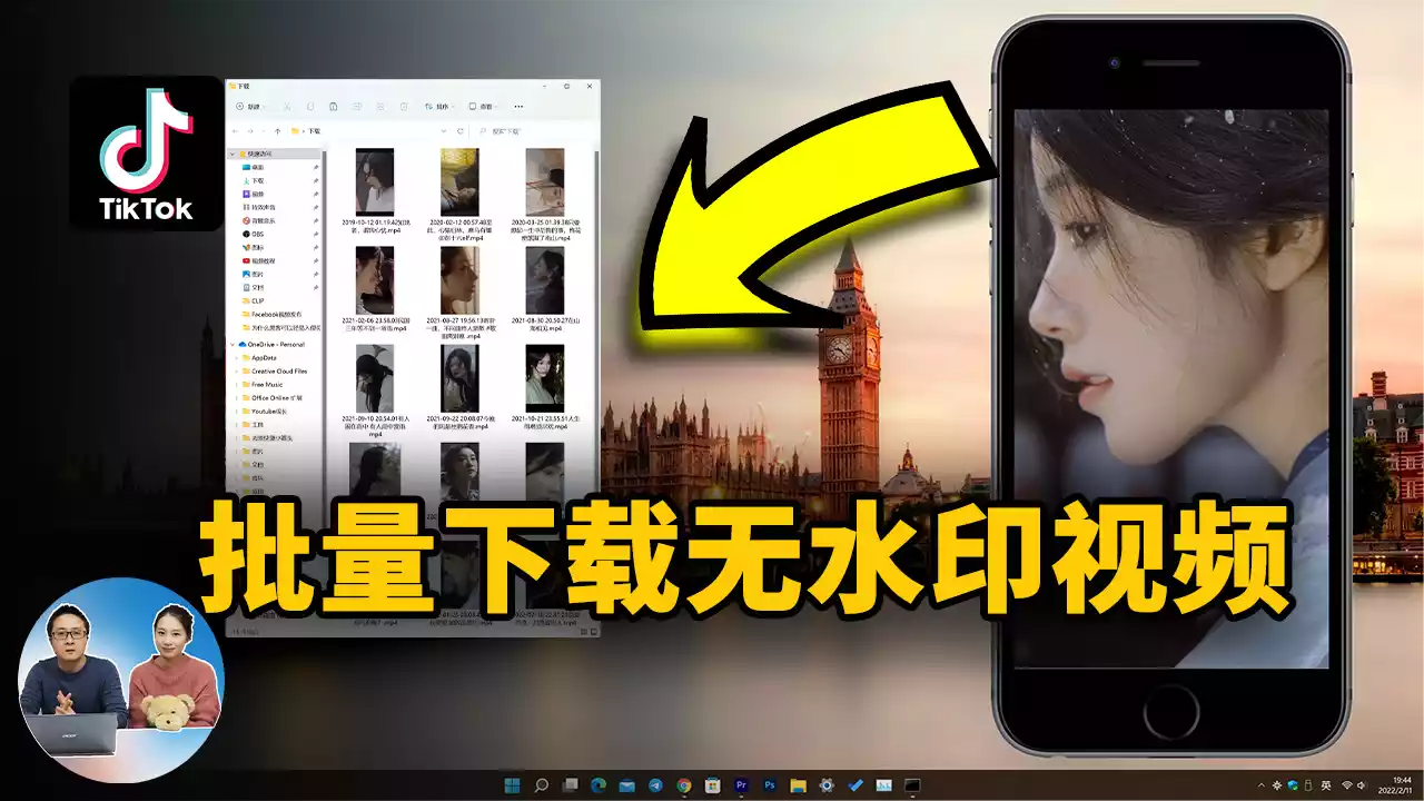付费视频-批量下载 TikTok、抖音的高清无水印视频！一键轻松搞定，完全免费！ | 零度解说