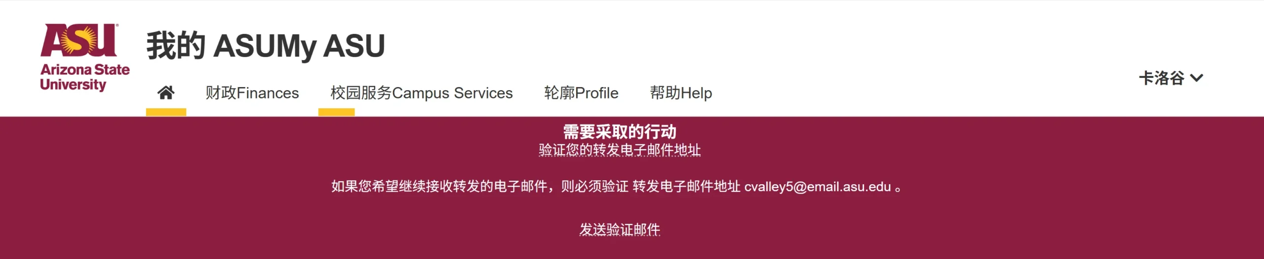 图片[12]-免费白嫖 1 年的 Gemini Advanced 高级套餐！+ 免费获取美国Edu教育邮箱-零度博客