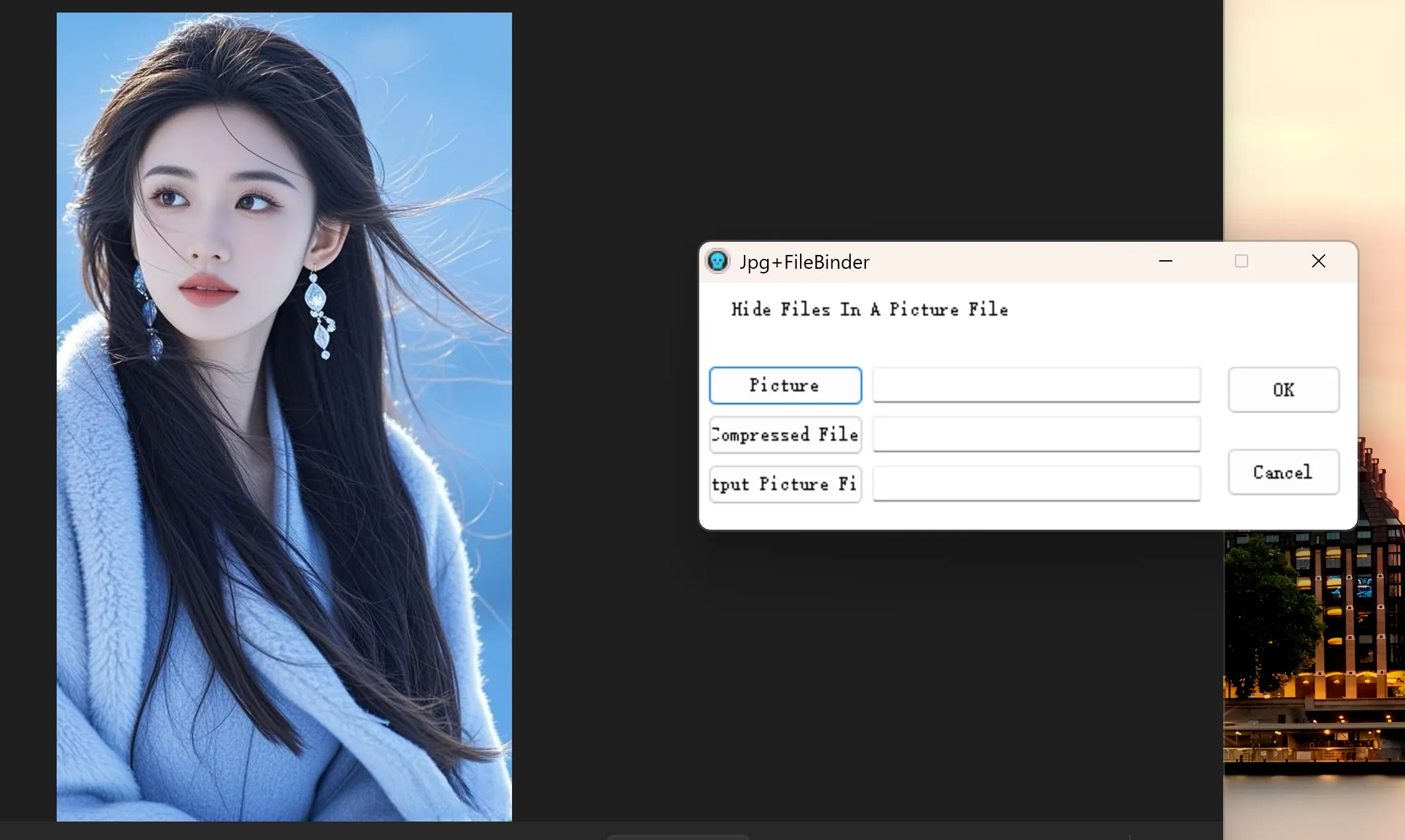 图片[1]-Jpg+FileBinder 将文件加密隐藏到图片中-零度博客